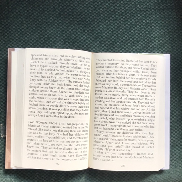 “The marriage of opposites“ A novel by Alice Hoffman - Picture 6 of 16